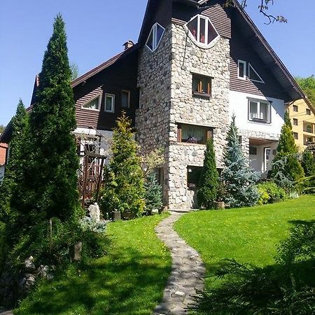 Pension Casa Contelui Rîşnov 外观 照片