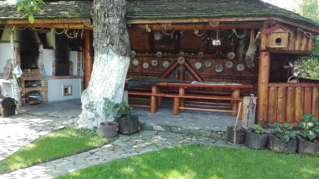 Pension Casa Contelui Rîşnov 外观 照片