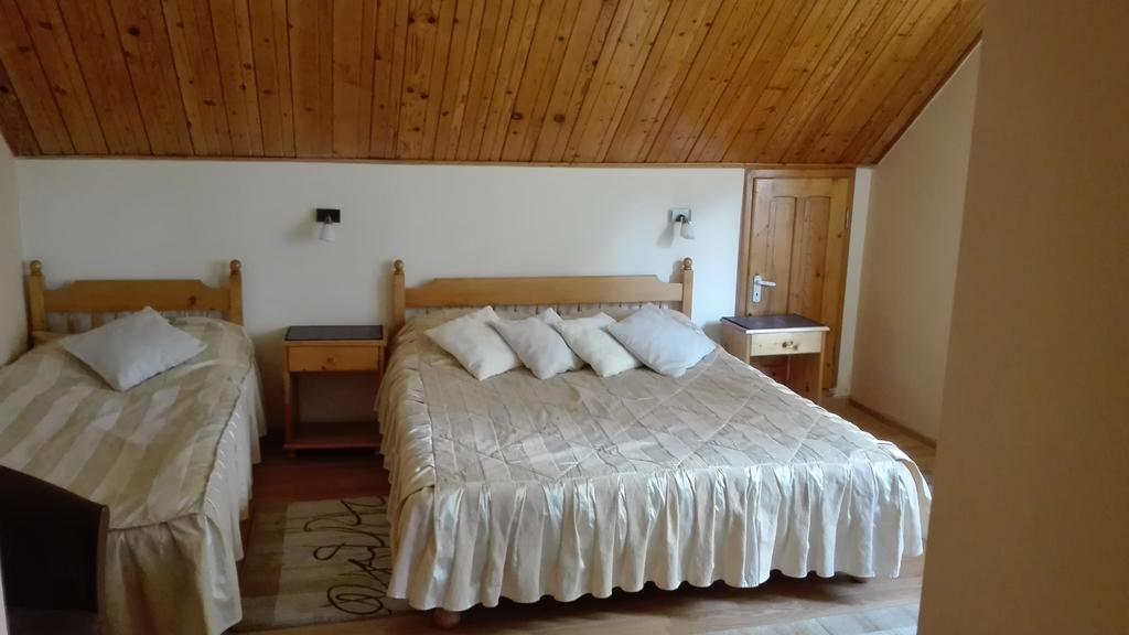 Pension Casa Contelui Rîşnov 外观 照片