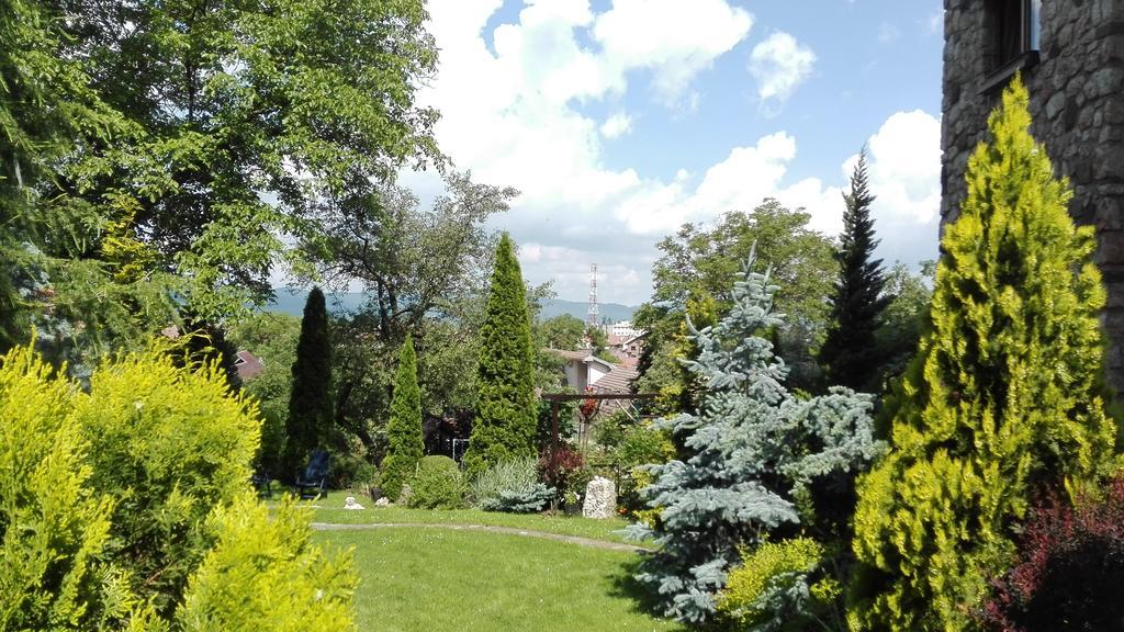 Pension Casa Contelui Rîşnov 外观 照片