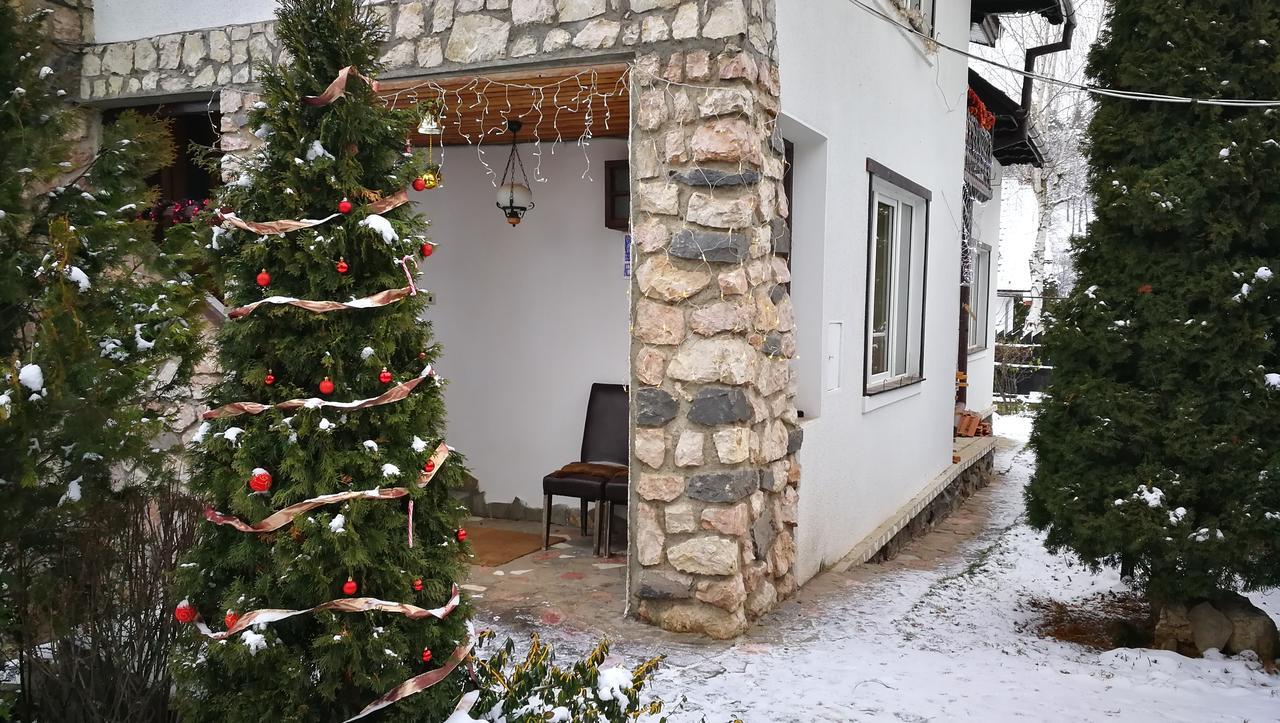 Pension Casa Contelui Rîşnov 外观 照片
