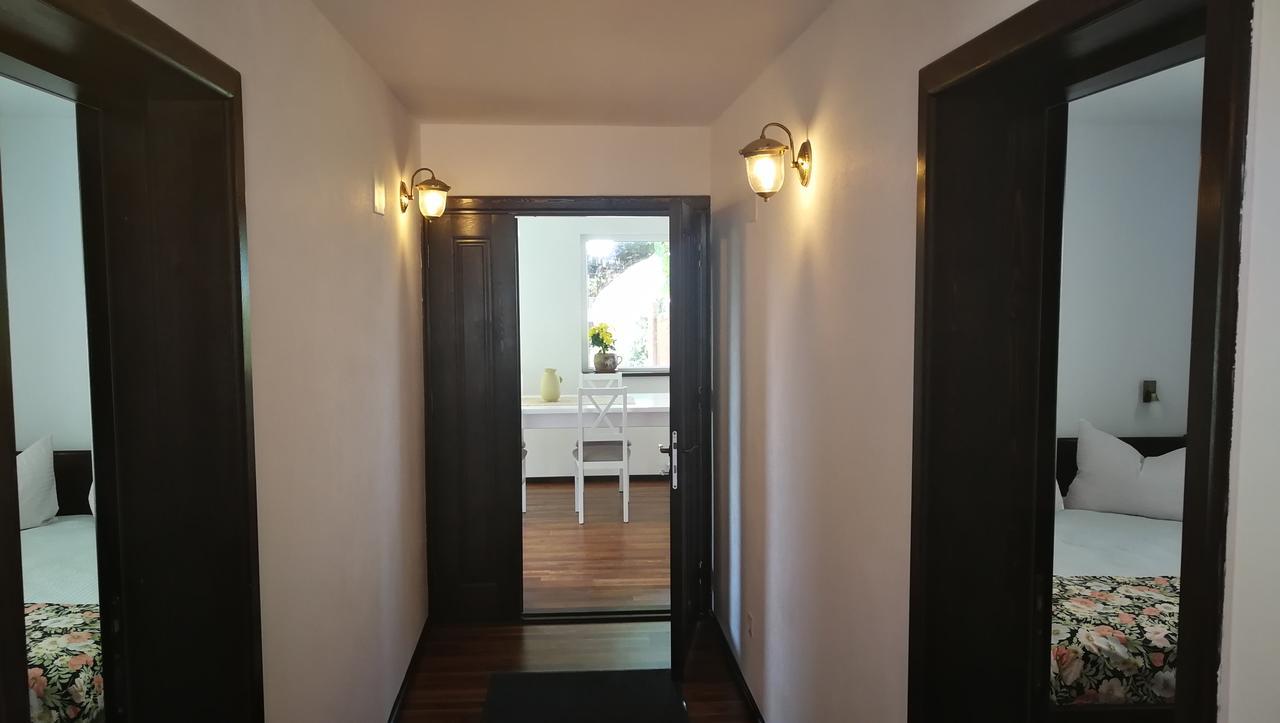 Pension Casa Contelui Rîşnov 外观 照片