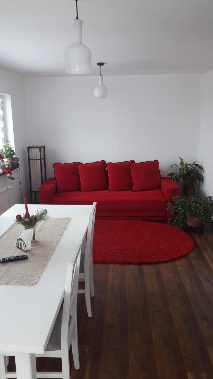Pension Casa Contelui Rîşnov 外观 照片