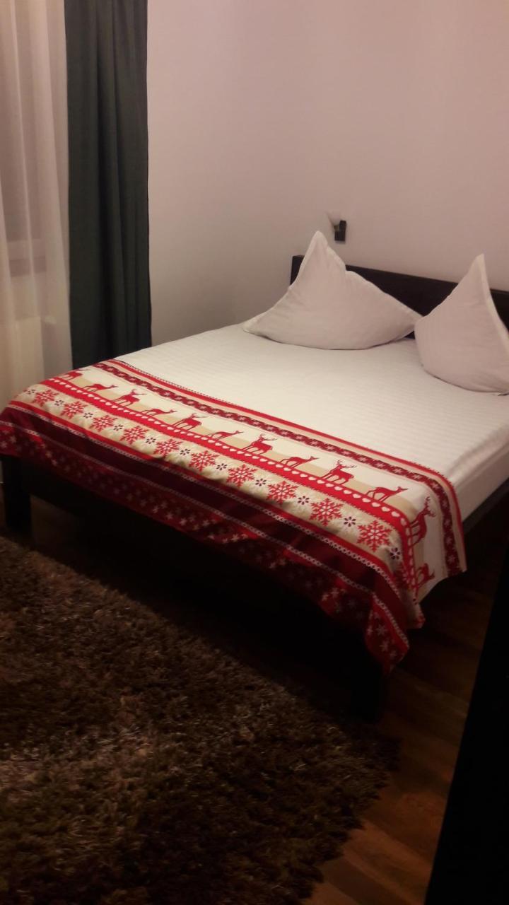Pension Casa Contelui Rîşnov 外观 照片